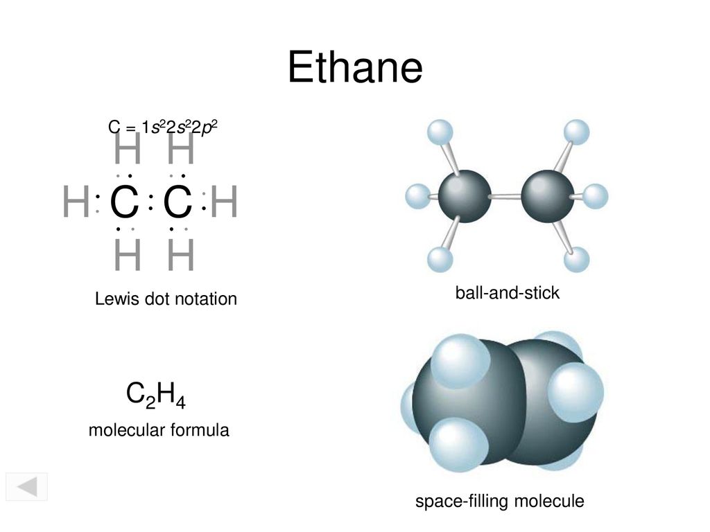 Molecular Models Activity ppt download